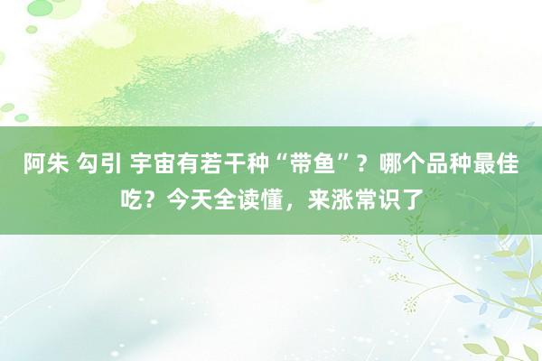 阿朱 勾引 宇宙有若干种“带鱼”？哪个品种最佳吃？今天全读懂，来涨常识了