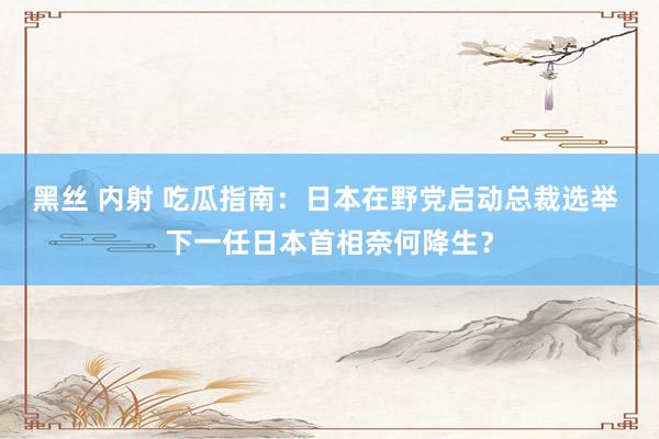 黑丝 内射 吃瓜指南：日本在野党启动总裁选举 下一任日本首相奈何降生？