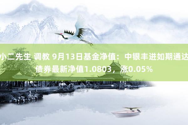 小二先生 调教 9月13日基金净值：中银丰进如期通达债券最新净值1.0803，涨0.05%