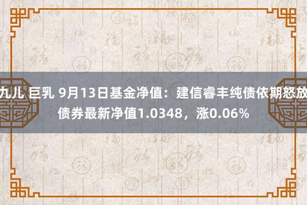 九儿 巨乳 9月13日基金净值：建信睿丰纯债依期怒放债券最新净值1.0348，涨0.06%