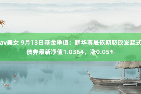 av美女 9月13日基金净值：鹏华尊晟依期怒放发起式债券最新净值1.0364，涨0.05%