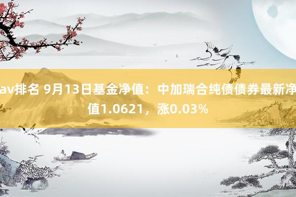 av排名 9月13日基金净值：中加瑞合纯债债券最新净值1.0621，涨0.03%