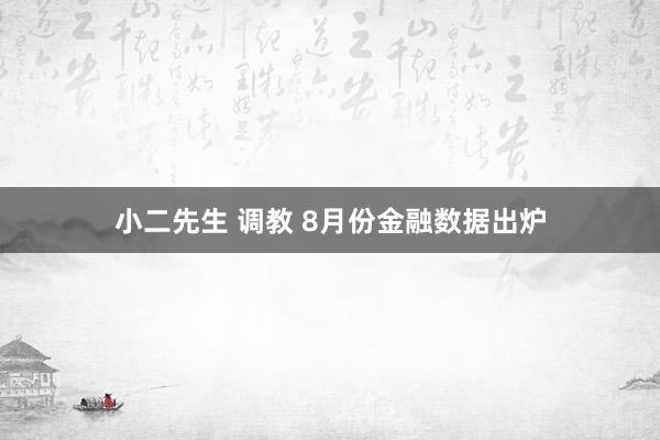 小二先生 调教 8月份金融数据出炉