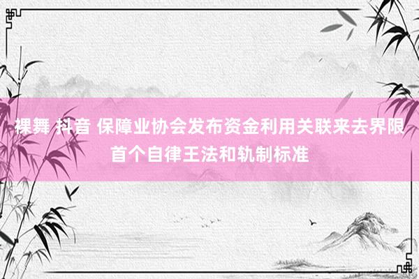 裸舞 抖音 保障业协会发布资金利用关联来去界限首个自律王法和轨制标准