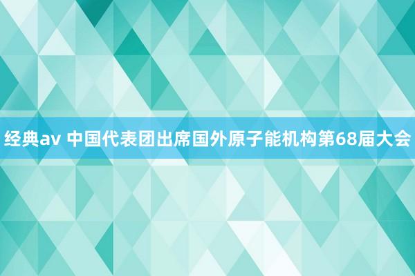 经典av 中国代表团出席国外原子能机构第68届大会