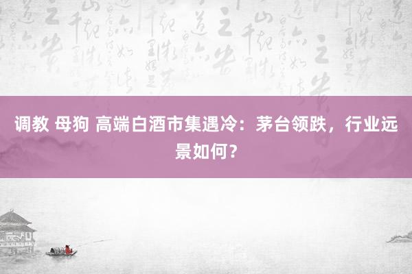 调教 母狗 高端白酒市集遇冷：茅台领跌，行业远景如何？