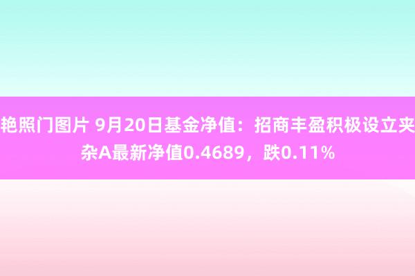 艳照门图片 9月20日基金净值：招商丰盈积极设立夹杂A最新净值0.4689，跌0.11%