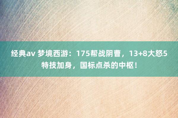 经典av 梦境西游：175帮战阴曹，13+8大怒5特技加身，国标点杀的中枢！