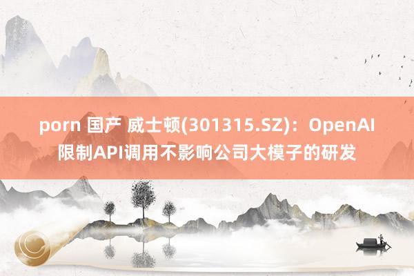 porn 国产 威士顿(301315.SZ)：OpenAI限制API调用不影响公司大模子的研发