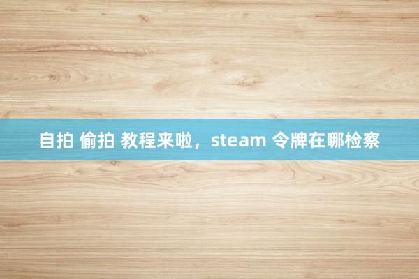 自拍 偷拍 教程来啦，steam 令牌在哪检察