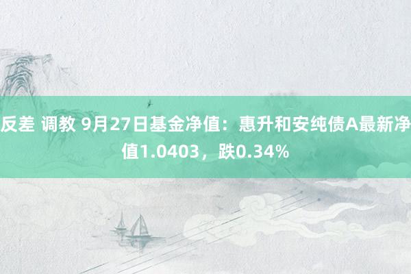 反差 调教 9月27日基金净值：惠升和安纯债A最新净值1.0403，跌0.34%