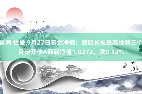 男同 性愛 9月27日基金净值：景顺长城景泰悦利三个月定开债A最新净值1.0272，跌0.32%