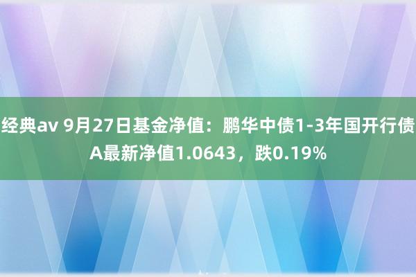 经典av 9月27日基金净值：鹏华中债1-3年国开行债A最新净值1.0643，跌0.19%