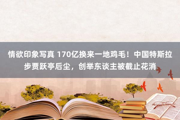 情欲印象写真 170亿换来一地鸡毛！中国特斯拉步贾跃亭后尘，创举东谈主被截止花消