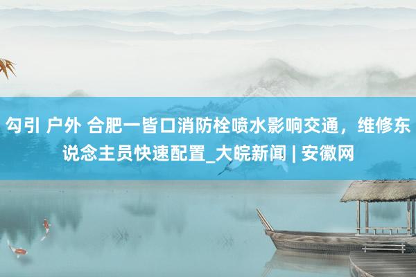 勾引 户外 合肥一皆口消防栓喷水影响交通，维修东说念主员快速配置_大皖新闻 | 安徽网