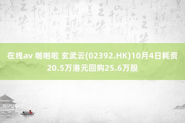 在线av 啪啪啦 玄武云(02392.HK)10月4日耗资20.5万港元回购25.6万股