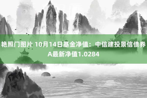 艳照门图片 10月14日基金净值：中信建投景信债券A最新净值1.0284