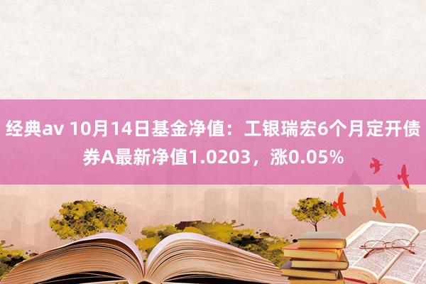 经典av 10月14日基金净值：工银瑞宏6个月定开债券A最新净值1.0203，涨0.05%