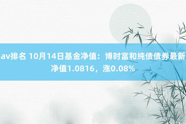 av排名 10月14日基金净值：博时富和纯债债券最新净值1.0816，涨0.08%