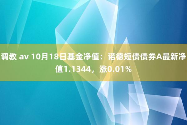 调教 av 10月18日基金净值：诺德短债债券A最新净值1.1344，涨0.01%