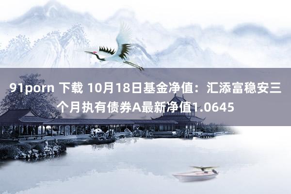 91porn 下载 10月18日基金净值：汇添富稳安三个月执有债券A最新净值1.0645