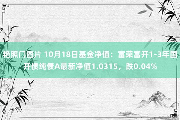 艳照门图片 10月18日基金净值：富荣富开1-3年国开债纯债A最新净值1.0315，跌0.04%