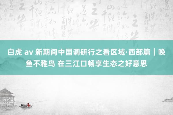 白虎 av 新期间中国调研行之看区域·西部篇｜唤鱼不雅鸟 在三江口畅享生态之好意思