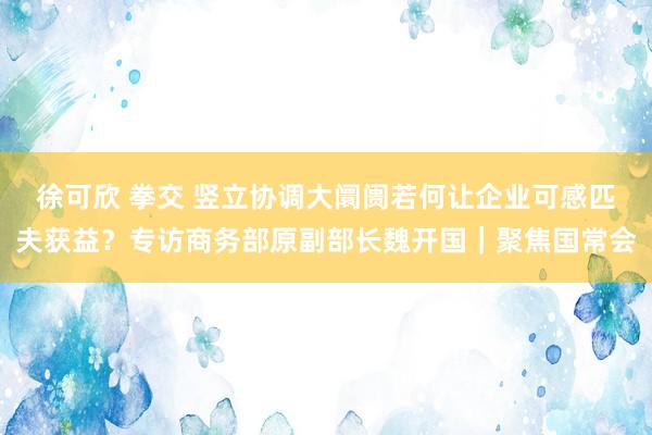 徐可欣 拳交 竖立协调大阛阓若何让企业可感匹夫获益？专访商务部原副部长魏开国｜聚焦国常会