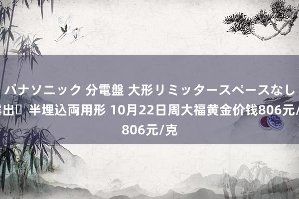 パナソニック 分電盤 大形リミッタースペースなし 露出・半埋込両用形 10月22日周大福黄金价钱806元/克