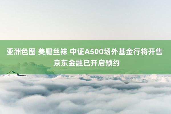 亚洲色图 美腿丝袜 中证A500场外基金行将开售  京东金融已开启预约