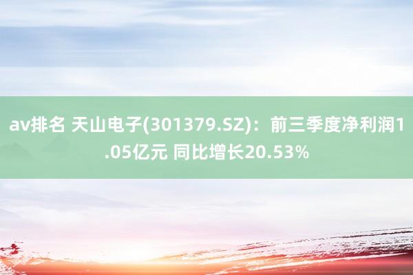 av排名 天山电子(301379.SZ)：前三季度净利润1.05亿元 同比增长20.53%