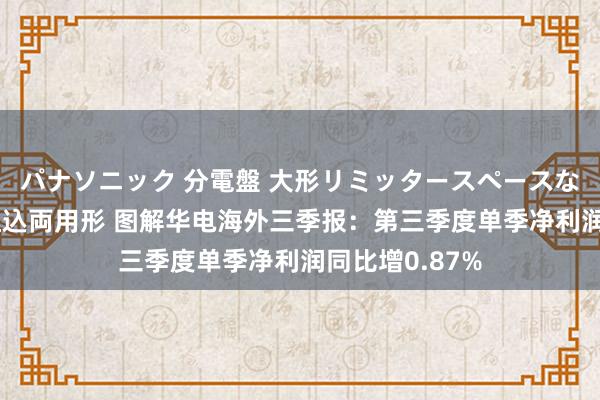 パナソニック 分電盤 大形リミッタースペースなし 露出・半埋込両用形 图解华电海外三季报：第三季度单季净利润同比增0.87%
