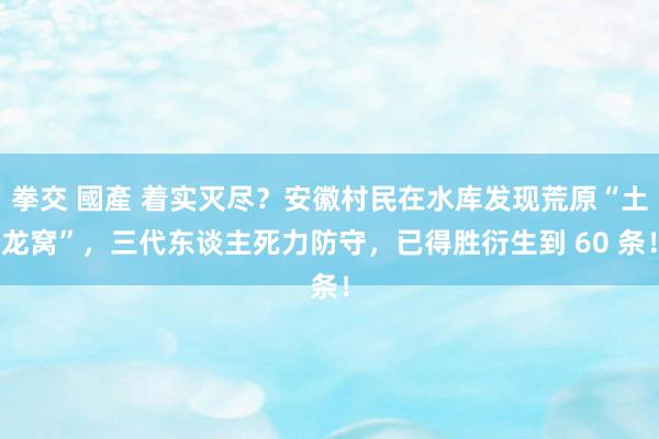 拳交 國產 着实灭尽？安徽村民在水库发现荒原“土龙窝”，三代东谈主死力防守，已得胜衍生到 60 条！