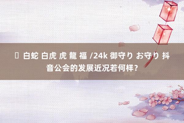 ✨白蛇 白虎 虎 龍 福 /24k 御守り お守り 抖音公会的发展近况若何样？