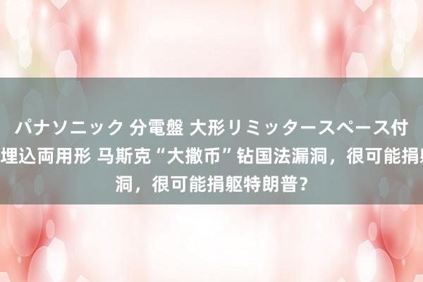 パナソニック 分電盤 大形リミッタースペース付 露出・半埋込両用形 马斯克“大撒币”钻国法漏洞，很可能捐躯特朗普？