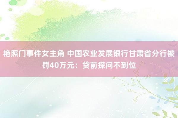 艳照门事件女主角 中国农业发展银行甘肃省分行被罚40万元：贷前探问不到位