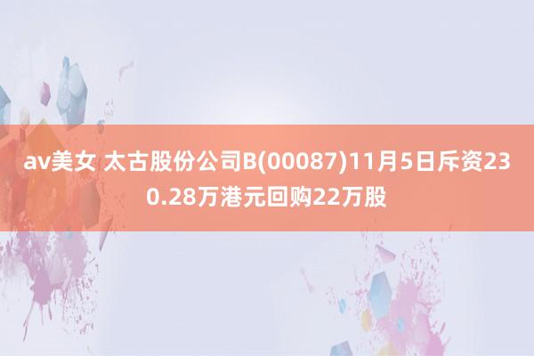 av美女 太古股份公司B(00087)11月5日斥资230.28万港元回购22万股