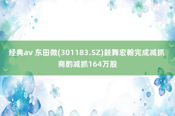 经典av 东田微(301183.SZ)鼓舞宏翰完成减抓 商酌减抓164万股