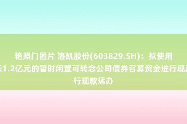 艳照门图片 洛凯股份(603829.SH)：拟使用不跳跃1.2亿元的暂时闲置可转念公司债券召募资金进行现款惩办