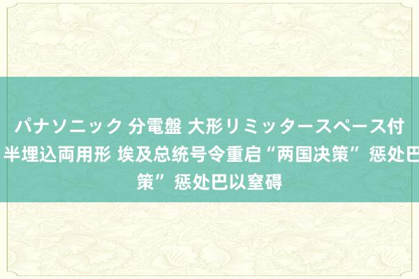 パナソニック 分電盤 大形リミッタースペース付 露出・半埋込両用形 埃及总统号令重启“两国决策” 惩处巴以窒碍