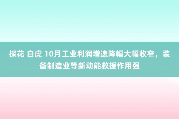 探花 白虎 10月工业利润增速降幅大幅收窄，装备制造业等新动能救援作用强