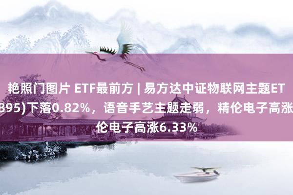 艳照门图片 ETF最前方 | 易方达中证物联网主题ETF(159895)下落0.82%，语音手艺主题走弱，精伦电子高涨6.33%