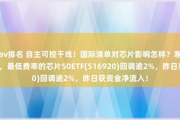 av排名 自主可控干线！国际清单对芯片影响怎样？寒武纪逆市上升，最低费率的芯片50ETF(516920)回调逾2%，昨日获资金净流入！