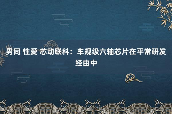 男同 性愛 芯动联科：车规级六轴芯片在平常研发经由中