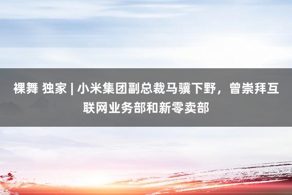 裸舞 独家 | 小米集团副总裁马骥下野，曾崇拜互联网业务部和新零卖部