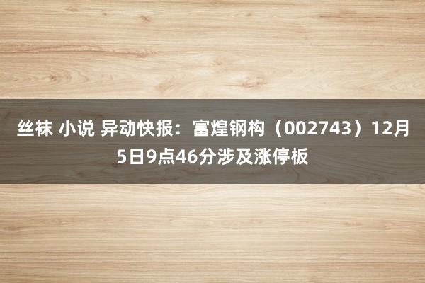 丝袜 小说 异动快报：富煌钢构（002743）12月5日9点46分涉及涨停板