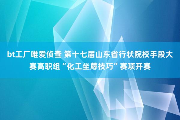 bt工厂唯爱侦查 第十七届山东省行状院校手段大赛高职组“化工坐蓐技巧”赛项开赛