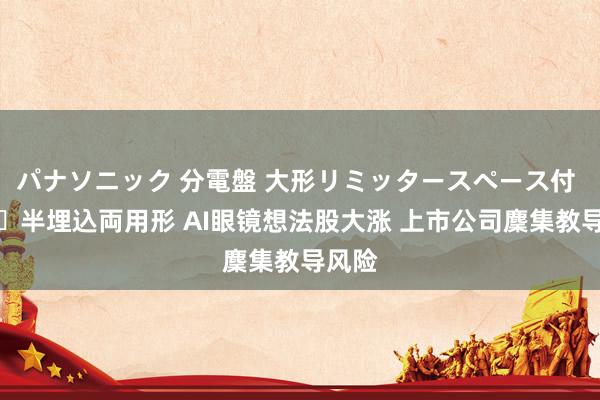 パナソニック 分電盤 大形リミッタースペース付 露出・半埋込両用形 AI眼镜想法股大涨 上市公司麇集教导风险