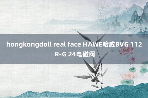 hongkongdoll real face HAWE哈威BVG 112 R-G 24电磁阀