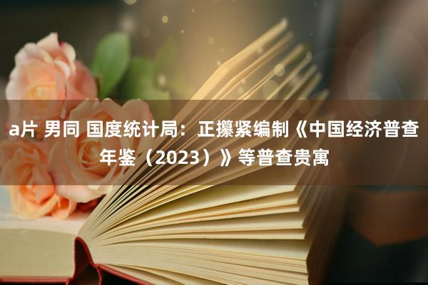 a片 男同 国度统计局：正攥紧编制《中国经济普查年鉴（2023）》等普查贵寓